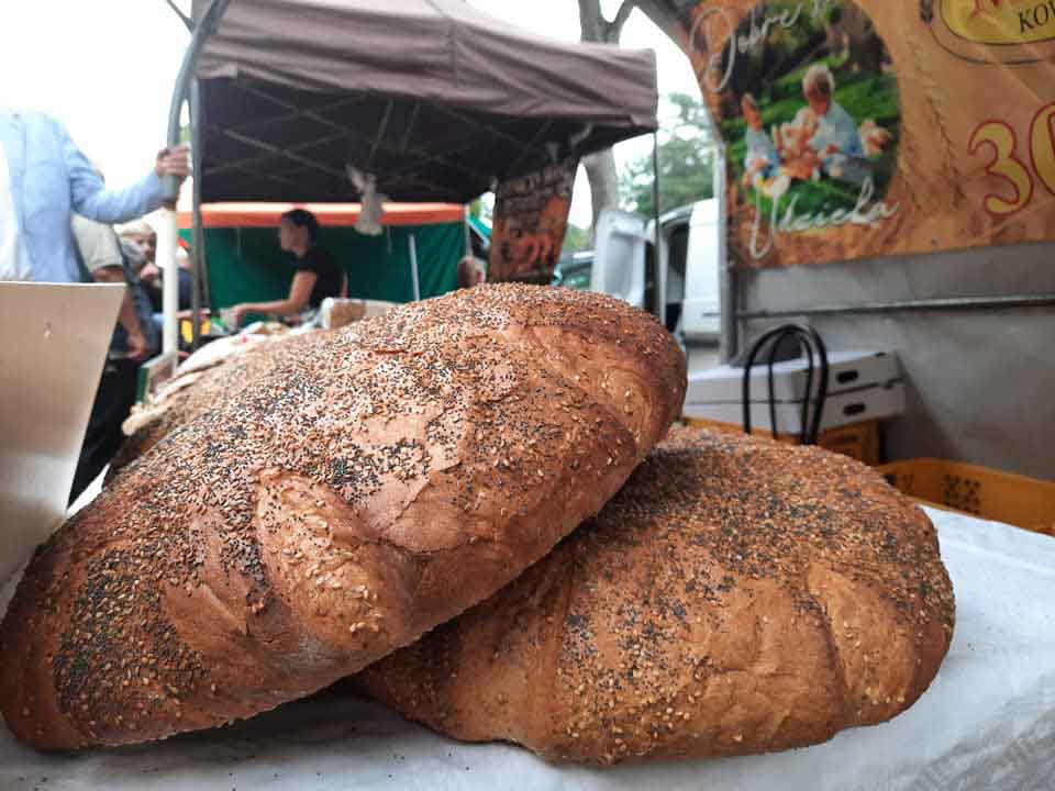 Lubuskie Święto Chleba w Bogdańcu